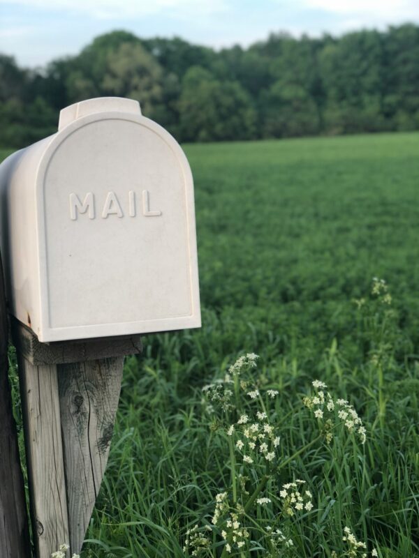 E-Mail-Beratung Elisabeth Krista