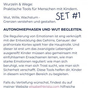 Wutausbrüche begleiten Tools für Eltern und pädagogische Fachkräfte