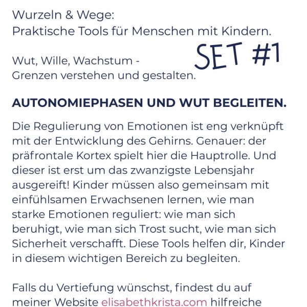 Wutausbrüche begleiten Tools für Eltern und pädagogische Fachkräfte