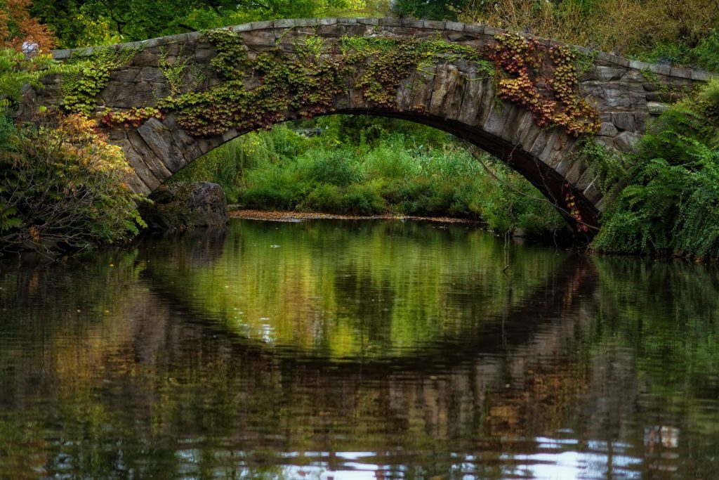 Werte im Team bilden tragfähige Zusammenarbeit